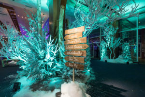 Arrow signs pointing to winter party stations