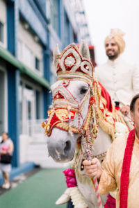 Groom in a white horse, Indian wedding