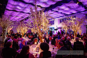 Current while guests are enjoying a wedding dinner reception seating at their tables