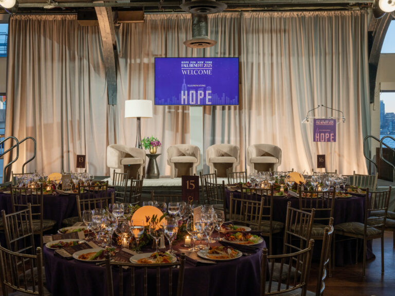 HFNY-Fall Benefit at the Lighthouse